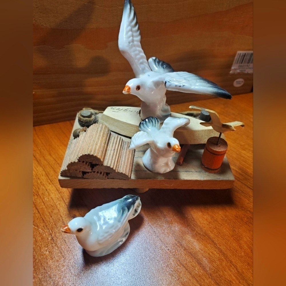 Seagull Collection